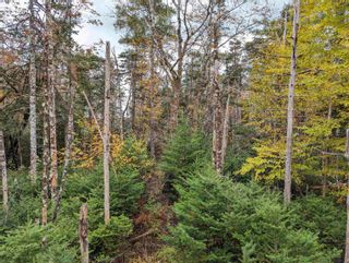 Photo 9: RB-1 Prospect Road in Hatchet Lake: 40-Timberlea, Prospect, St. Marg Vacant Land for sale (Halifax-Dartmouth)  : MLS®# 202402560