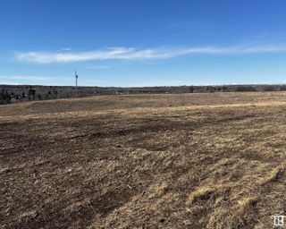 Photo 2: 4606 49 Street: Rural Flagstaff County Vacant Lot/Land for sale : MLS®# E4381335