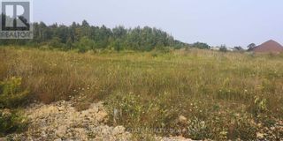 Photo 7: 129 HAYWARD ST in Northeastern Manitoulin and: Vacant Land for sale : MLS®# X8056700