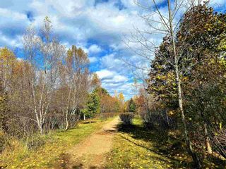 Photo 5: LOT 0 Aalders Avenue in New Minas: Kings County Vacant Land for sale (Annapolis Valley)  : MLS®# 202223092