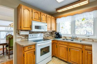 Photo 11: 10727 Willowfern Drive SE in Calgary: Willow Park Detached for sale : MLS®# A2125384