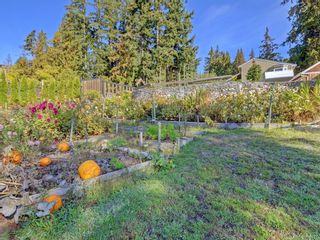 Photo 44: 542 Latoria Rd in Colwood: Co Olympic View House for sale : MLS®# 954517