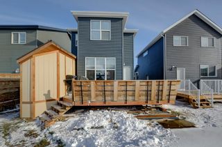 Photo 35: 73 Evanscrest Place NW in Calgary: Evanston Detached for sale : MLS®# A2010619