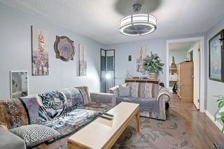 Photo 26: 211 Lynnbrook Close SE in Calgary: Ogden Detached for sale : MLS®# A1242445