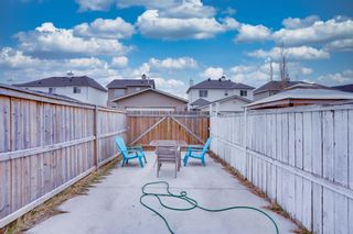 Photo 49: 53 Martha's Haven Green NE in Calgary: Martindale Detached for sale : MLS®# A2051388