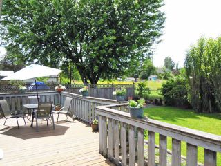 Photo 6: 4889 216 ST in Langley: Murrayville House for sale in "Murrayville" : MLS®# F1315785