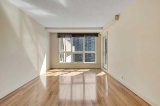 Photo 17: 614 8710 Horton Road SW in Calgary: Haysboro Apartment for sale : MLS®# A2121434