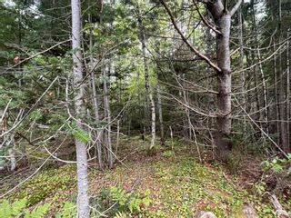 Photo 2: Lot 4 Heron Road in Central West River: 108-Rural Pictou County Vacant Land for sale (Northern Region)  : MLS®# 202221259