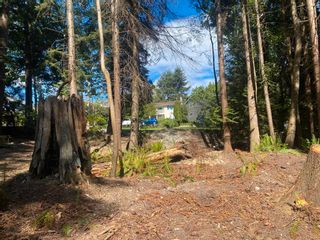 Photo 5: Lot B GRANDVIEW Road in Gibsons: Gibsons & Area Land for sale (Sunshine Coast)  : MLS®# R2860061