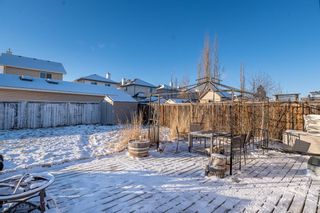 Photo 43: 1072 Bridlemeadows Manor SW in Calgary: Bridlewood Detached for sale : MLS®# A1165645