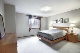 Photo 15:  in Calgary: Cranston Detached for sale : MLS®# A1024102