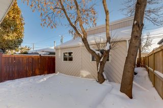 Photo 39: 613 21 Avenue NW in Calgary: Mount Pleasant Detached for sale : MLS®# A2011533