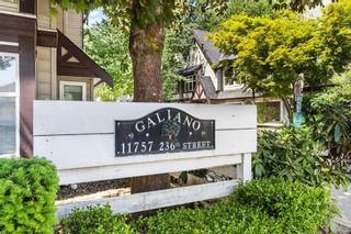 Photo 28: 47 11757 236TH Street in Maple Ridge: Cottonwood MR Townhouse for sale in "Galiano" : MLS®# R2782648