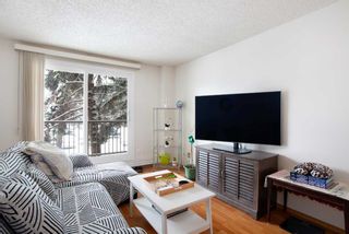 Photo 12: 205 3420 50 Street NW in Calgary: Varsity Apartment for sale : MLS®# A2117337