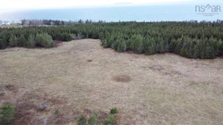 Photo 16: Lot Nollett Beckwith Road in Ogilvie: 404-Kings County Vacant Land for sale (Annapolis Valley)  : MLS®# 202120227