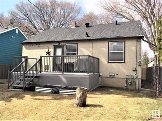 Photo 9: 11331 70 Street in Edmonton: Zone 09 House for sale : MLS®# E4292374