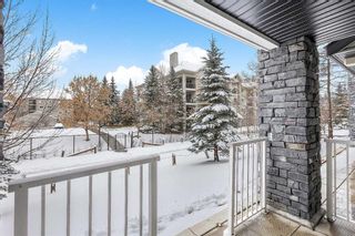 Photo 23: 2108 115 Prestwick Villas SE in Calgary: McKenzie Towne Apartment for sale : MLS®# A2120617