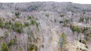 Photo 10: Lot 1&2 East Bay Highway in Big Pond: 207-C. B. County Vacant Land for sale (Cape Breton)  : MLS®# 202108705