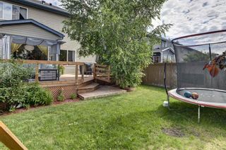 Photo 38: 43 Chapala Way SE in Calgary: Chaparral Detached for sale : MLS®# A1243599