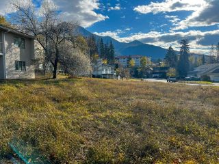 Photo 8: Lot 32 RIVERVIEW ROAD in Fairmont Hot Springs: Vacant Land for sale : MLS®# 2470938