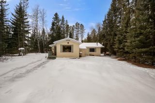 Photo 9: 8 South Raven Close: Rural Clearwater County Detached for sale : MLS®# A1186166