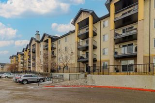 Photo 31: 8323 304 Mackenzie Way SW: Airdrie Apartment for sale : MLS®# A2021721