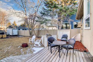 Photo 39: 4614 70 Street in Calgary: Bowness Detached for sale : MLS®# A1193841