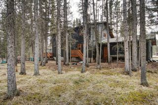 Photo 29: 3 Wolf Crescent: Bragg Creek Detached for sale : MLS®# A1204136
