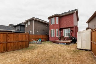 Photo 28: 185 Evansdale Way NW in Calgary: Evanston Detached for sale : MLS®# A2042834