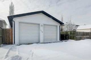 Photo 28: 119 Springs Crescent SE: Airdrie Detached for sale : MLS®# A1198998