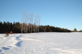Photo 24: 370 ROSS CREEK Road in Ross Creek: 404-Kings County Farm for sale (Annapolis Valley)  : MLS®# 202102366