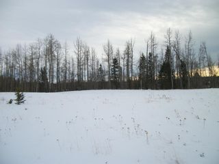 Photo 2: 345079 Range Road 65: Rural Clearwater County Residential Land for sale : MLS®# A2019216