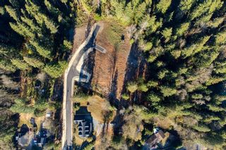 Photo 6: 31183 DEWDNEY TRUNK Road in Mission: Stave Falls Land for sale : MLS®# R2846184