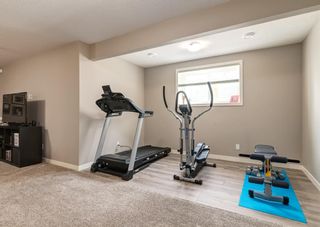 Photo 38: 120 Howse Terrace NE in Calgary: Livingston Detached for sale : MLS®# A1219316