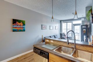 Photo 16: 302 208 Holy Cross Lane SW in Calgary: Mission Apartment for sale : MLS®# A2108851