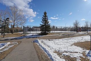 Photo 38: 230 Hamptons Park NW in Calgary: Hamptons Semi Detached (Half Duplex) for sale : MLS®# A2024626