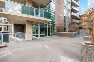 Photo 17: 205 530 12 Avenue SW in Calgary: Beltline Apartment for sale : MLS®# A2120177