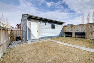 Photo 32: 441 Walden Drive SE in Calgary: Walden Semi Detached for sale : MLS®# A1199589