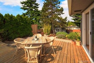 Photo 14: 2532 Asquith St in Victoria: Vi Oaklands House for sale : MLS®# 703312
