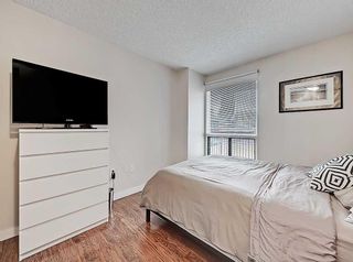 Photo 18: 407 718 12 Avenue SW in Calgary: Beltline Apartment for sale : MLS®# A2127819