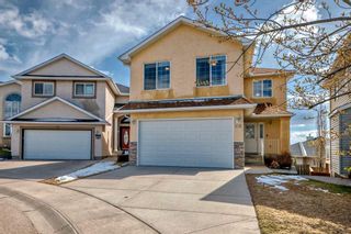 Main Photo: 106 Royal Birch Rise NW in Calgary: Royal Oak Detached for sale : MLS®# A2128657
