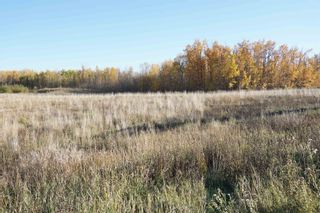Photo 9: 17 53214 RR 13: Rural Parkland County Rural Land/Vacant Lot for sale : MLS®# E4270601