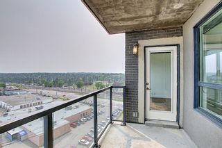 Photo 27: 1008 8880 Horton Road SW in Calgary: Haysboro Apartment for sale : MLS®# A1169538