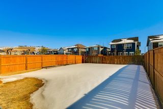 Photo 34: 28 Cranbrook Circle SE in Calgary: Cranston Detached for sale : MLS®# A2034856
