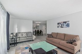 Photo 16: 201 335 Garry Crescent NE in Calgary: Greenview Apartment for sale : MLS®# A2017197