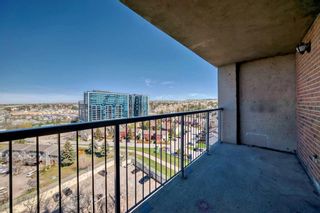 Photo 17: 1413 4944 Dalton Drive NW in Calgary: Dalhousie Apartment for sale : MLS®# A2131476
