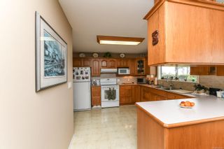 Photo 12: 6039 S Island Hwy in Union Bay: CV Union Bay/Fanny Bay House for sale (Comox Valley)  : MLS®# 855956