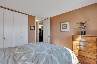 Photo 23: 106 Abalone Crescent NE in Calgary: Abbeydale Detached for sale : MLS®# A2003308