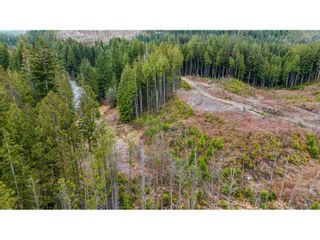Photo 14: Lot 1 32482 DEWDNEY TRUNK ROAD in Mission: Vacant Land for sale : MLS®# C8056746