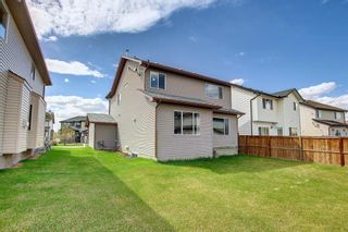 Photo 41: 112 WEST CREEK Meadow: Chestermere Detached for sale : MLS®# A1216075